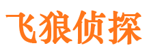 杜集市侦探公司